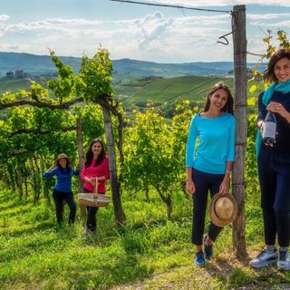 L'enogastronomia tra gli elementi di richiamo per il turismo in Piemonte (ph. Consorzio Turistico Langhe Monferrato Roero)