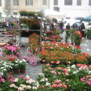 Piazza san Giovanni  “ fiorita e variopinta “ per un giorno