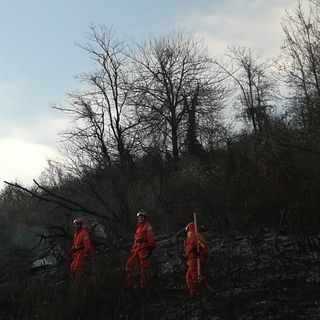 Siccità estrema in Piemonte: nel primo mese del 2022 superati i 202 interventi dei volontari Aib