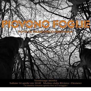 Mostra fotografica a Dronero: "Piovono foglie" di Francesco Bertaina