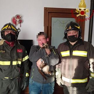 Dronero, gatto incastrato in un termosifone salvato dai Vigili del Fuoco