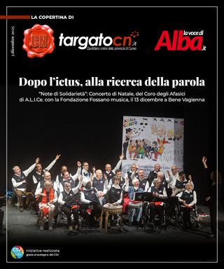 Dopo l'ictus, alla ricerca della parola