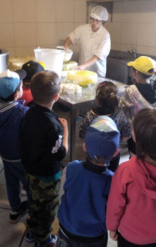 Educazione rurale e alimentare: i veterinari dell’ASL CN2 coinvolgono i bambini delle scuole dell’infanzia di Pezzolo Valle Uzzone e Cortemilia Educazione rurale e alimentare: i veterinari dell’ASL CN2 coinvolgono i bambini delle scuole dell’infanzia di Pezzolo Valle Uzzone e Cortemilia