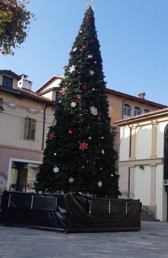 Saluzzo, l'albero di Natale 2020 in piazza Vineis
