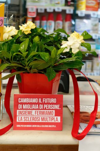 Unifarma e le farmacie della Provincia di Cuneo per la ricerca contro la Sclerosi Multipla Unifarma e le farmacie della Provincia di Cuneo per la ricerca contro la Sclerosi Multipla