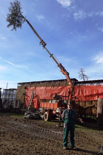 Ancora visibile fino a metà gennaio l'albero di Natale più alto del peveragese