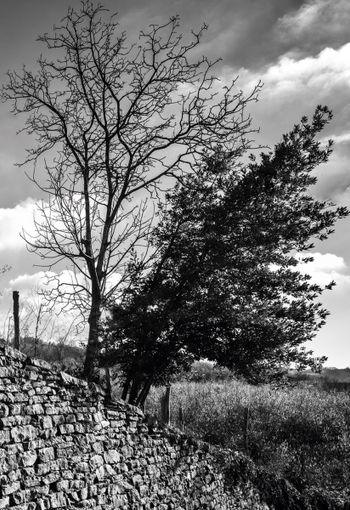 Mostra Fotografica “Me Langa” in Banca d'Alba Mostra Fotografica “Me Langa” in Banca d'Alba
