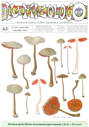 Tutto ciò che c’è da sapere sui funghi del Bosco del Merlino sul sito di Caramagna Piemonte Tutto ciò che c’è da sapere sui funghi del Bosco del Merlino sul sito di Caramagna Piemonte