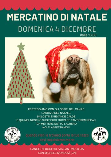 Mercatino di Natale speciale per gli amici a 4 zampe al canile di Cuneo Mercatino di Natale speciale per gli amici a 4 zampe al canile di Cuneo