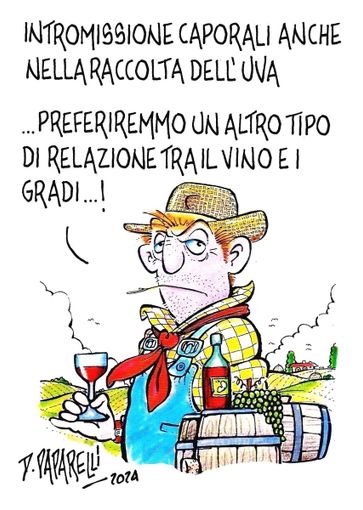 Caporalato nella raccolta dell'uva... Caporalato nella raccolta dell'uva...