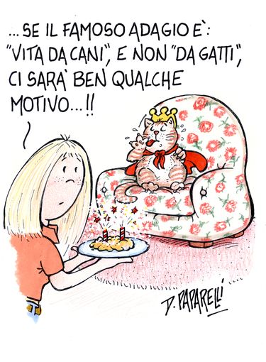 Mici, un argomento che non interessa solo quattro gatti...