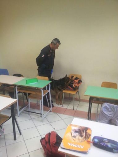 A Cuneo e Dronero, controlli dei carabinieri nelle scuole, con le unità cinofile