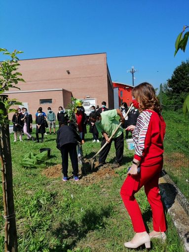 Dopo un anno difficile, piantato un melo, segno di vita, nel giardino della primaria di Bene Vagienna