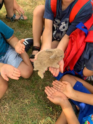All’Infanzia di Trinità la gita diventa un'opportunità per conoscere gli animali All’Infanzia di Trinità la gita diventa un'opportunità per conoscere gli animali