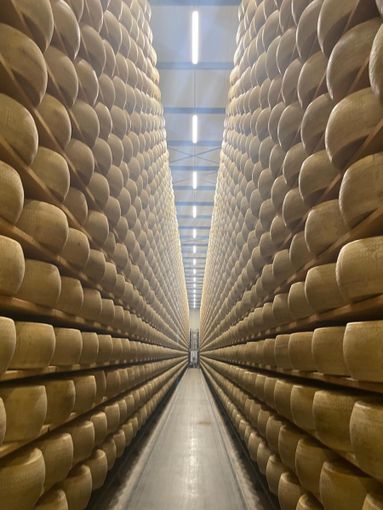 Il "Bianco" della cooperativa Piemonte Latte: un progetto che continua dal 2023 con ottimi risultati Il "Bianco" della cooperativa Piemonte Latte: un progetto che continua dal 2023 con ottimi risultati