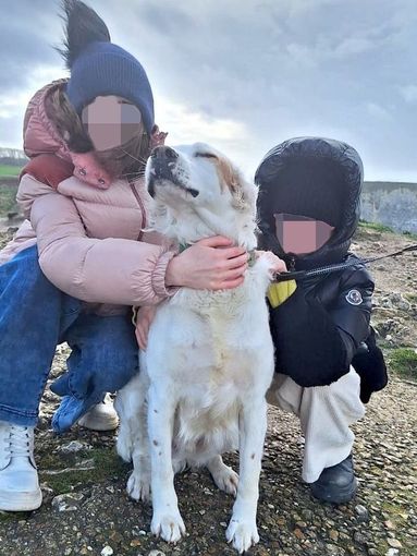 Ted, il cane ucciso nel maggio 2024, con le sue proprietarie