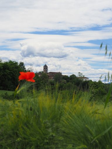 Bosia in festa per San Nazario: tra pallapugno, musica e tradizione