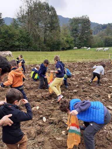 Contadini per un giorno: la festa della patata per i più piccoli Contadini per un giorno: la festa della patata per i più piccoli