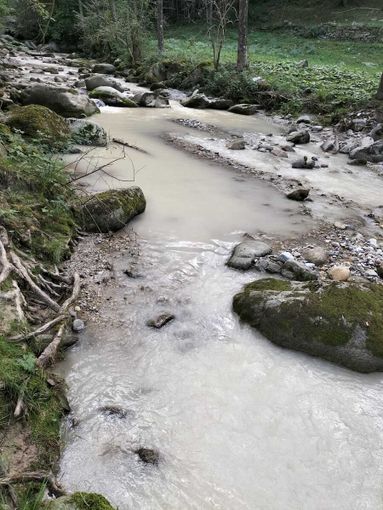Frabosa Sottana, acque sporche e moria di trote nel torrente Maudagna [FOTO]