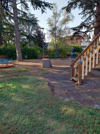 Comuneroero: "L’amministrazione di Canale in pochi giorni abbatte parte dei cedri del giardino di via Beppe Fenoglio" Comuneroero: "L’amministrazione di Canale in pochi giorni abbatte parte dei cedri del giardino di via Beppe Fenoglio"