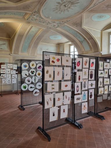 Cherasco, in mostra i disegni partecipanti al concorso per il calendario naturalistico