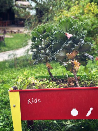 “SchoolFood4Change”: Cuneo al lavoro per una ristorazione scolastica più salutare e sostenibile