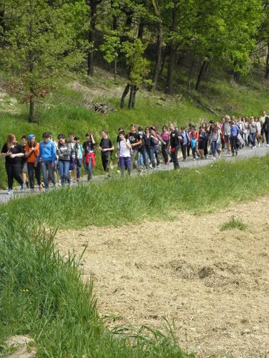 Dogliani e Lautertal unite dallo scambio scolastico