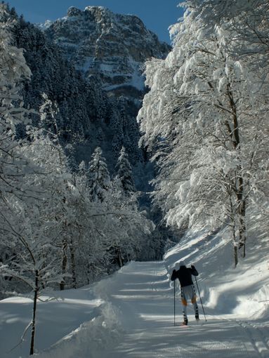 Apertura della Pista di Fondo Marguareis in alta Valle Pesio Apertura della Pista di Fondo Marguareis in alta Valle Pesio