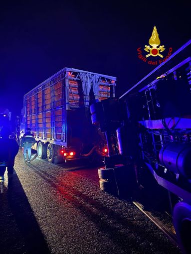 Foto d'archivio Foto d'archivio