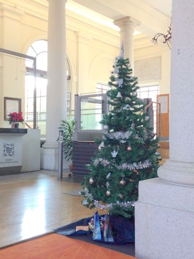 Saluzzo, l'ingresso della Residenza Tapparelli Saluzzo, l'ingresso della Residenza Tapparelli