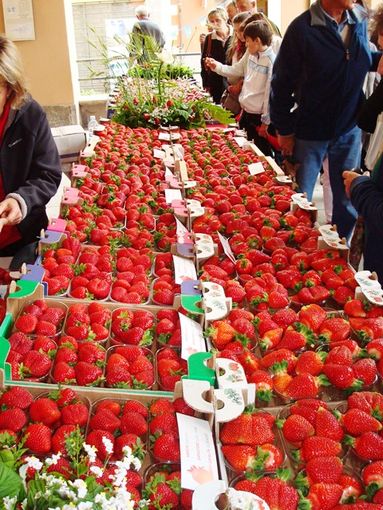 Peveragno, nel fine settimana la 57^ Sagra della fragola