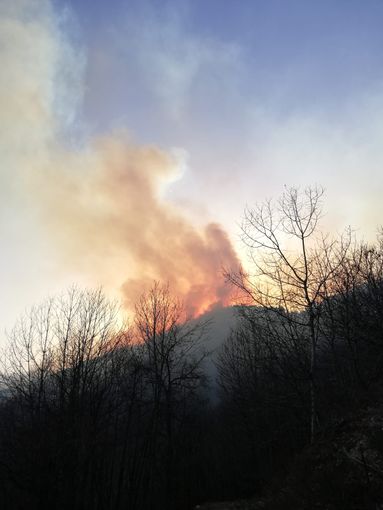 Tre incendi boschivi a Villar San Costanzo sul monte San Bernardo: in corso l'intervento dell'elicottero regionale Tre incendi boschivi a Villar San Costanzo sul monte San Bernardo: in corso l'intervento dell'elicottero regionale