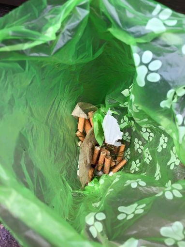 Il "bottino" di Mauro calderoni