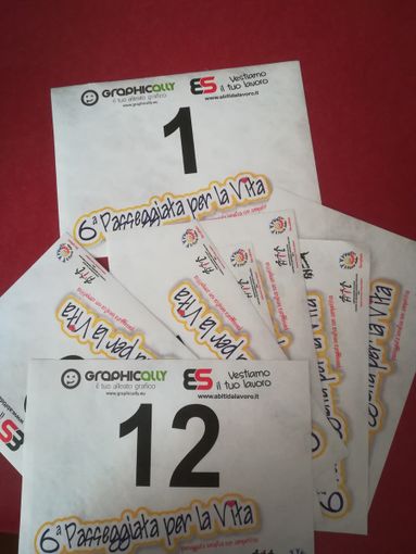 Passeggiata per la Vita: in arrivo la 6ª edizione ancora a distanza Passeggiata per la Vita: in arrivo la 6ª edizione ancora a distanza