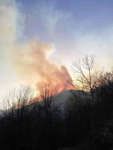 Le fiamme, ieri 3 febbraio