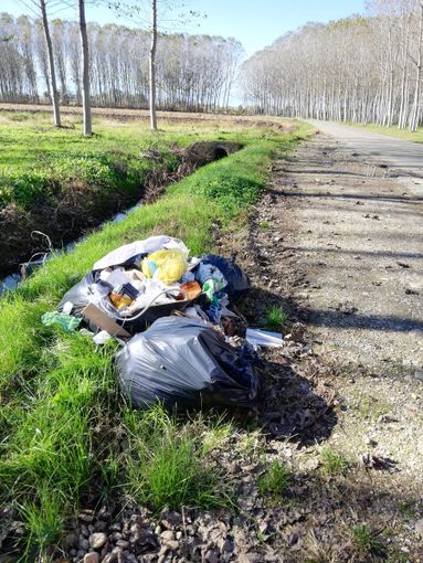 Aveva abbandonato dei rifiuti lungo strada Falchetto a Bra: segnalato da alcuni residenti, è stato multato