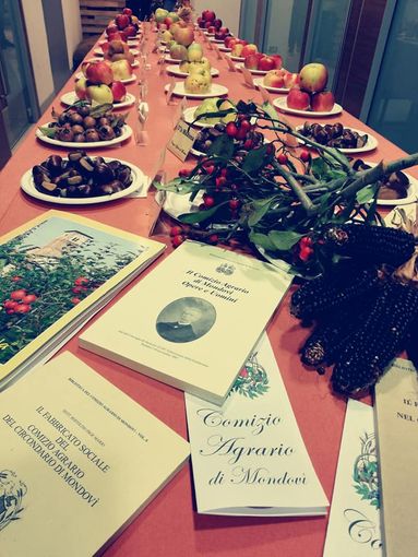A Mondovì un seminario per degustare la mela A Mondovì un seminario per degustare la mela
