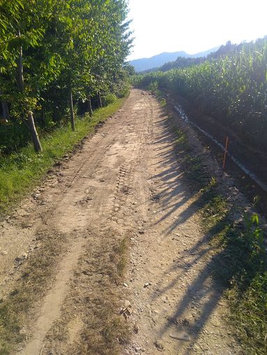 Vignolo: lavori sulla via Antica, in direzione Cuneo