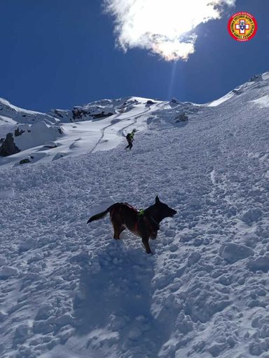 Neve abbondante sulle Alpi liguri e marittime: unità cinofila da valanga operativa già da domani a Levaldigi