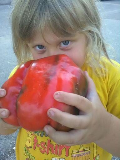 Arriva la Fiera Nazionale del Peperone di Carmagnola