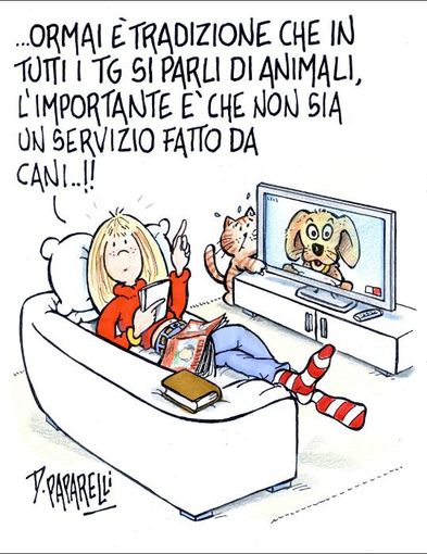 Quando la notizia non è un tg che parla di animali, ma animali che fanno parlare un tg Quando la notizia non è un tg che parla di animali, ma animali che fanno parlare un tg