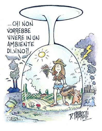 Le buone qualità dell'uva? A grappoli!