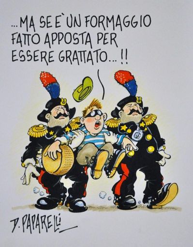 La vignetta di Danilo Paparelli La vignetta di Danilo Paparelli
