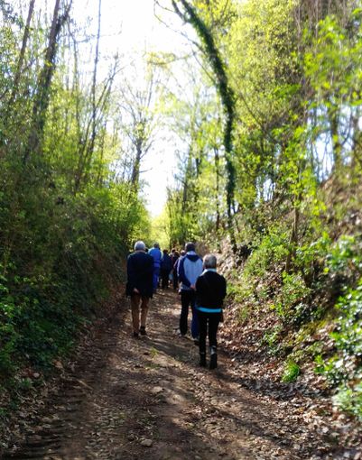 Camminata con l'Associazione della Banca del tempo di Sommariva del Bosco Camminata con l'Associazione della Banca del tempo di Sommariva del Bosco