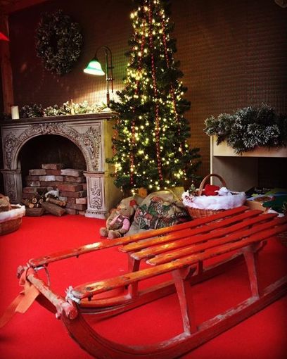 A Dogliani il grande ritorno de "Il Bosco delle Meraviglie", con tanti appuntamenti all'insegna del Natale