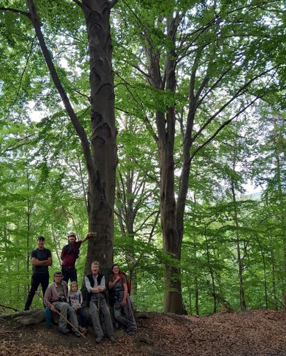 Alba, incontri con Langa Silvatica "I want to be tree" Alba, incontri con Langa Silvatica "I want to be tree"