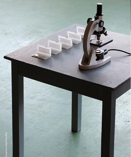 Apre venerdì lo spazio "Albume" a Cuneo Apre venerdì lo spazio "Albume" a Cuneo