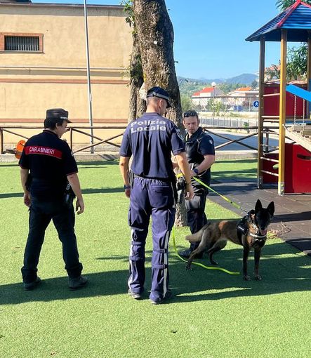 Operazione dei Forestali e della Polizia locale per fermare dei casi di avvelenamento di cani e gatti Operazione dei Forestali e della Polizia locale per fermare dei casi di avvelenamento di cani e gatti
