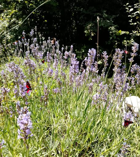“Di che Suolo ti Nutri”: torna a Cuneo l’incontro tra cibo, agricoltura e comunità