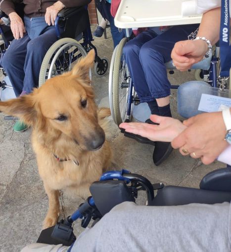 Si è concluso in festa il progetto "Pet Therapy" alla casa di riposo di San Michele Mondovì